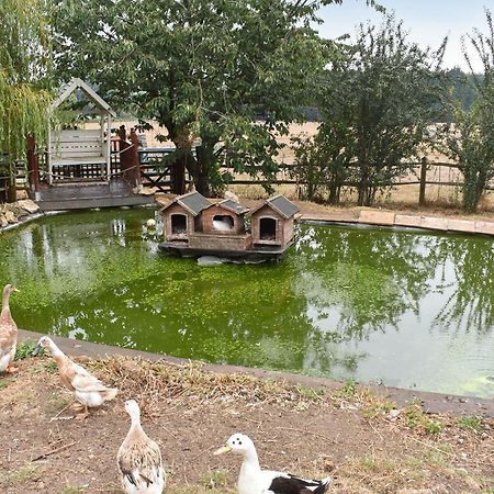 فيلا South Wing Coldharbour Park Farm Rake المظهر الخارجي الصورة