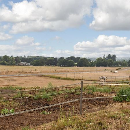 فيلا South Wing Coldharbour Park Farm Rake المظهر الخارجي الصورة