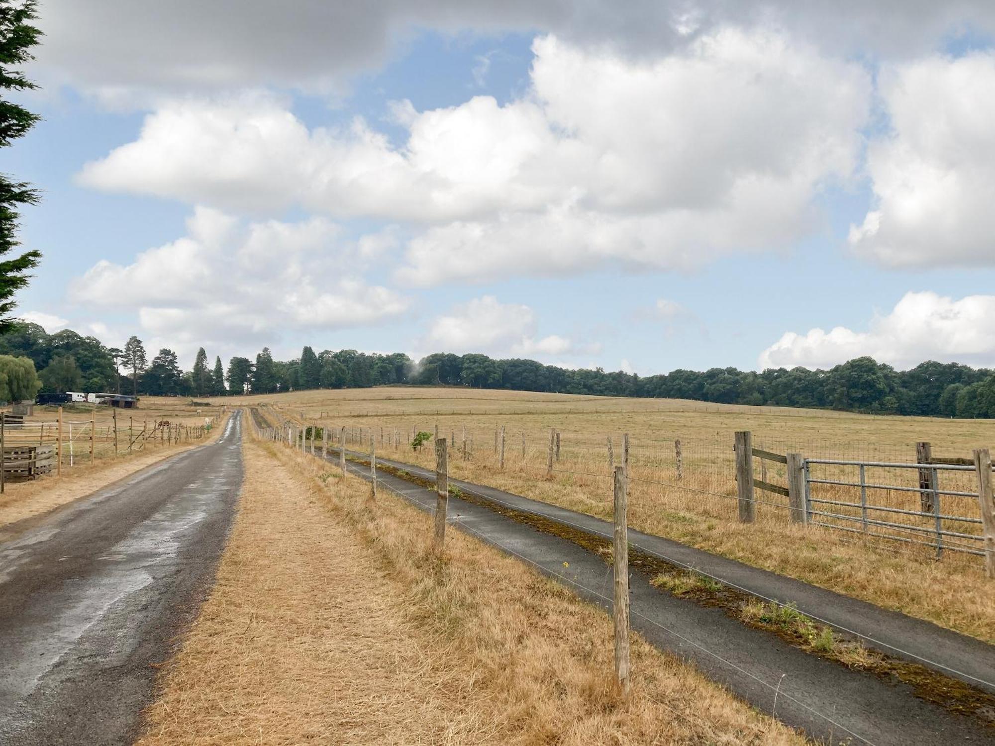 فيلا South Wing Coldharbour Park Farm Rake المظهر الخارجي الصورة