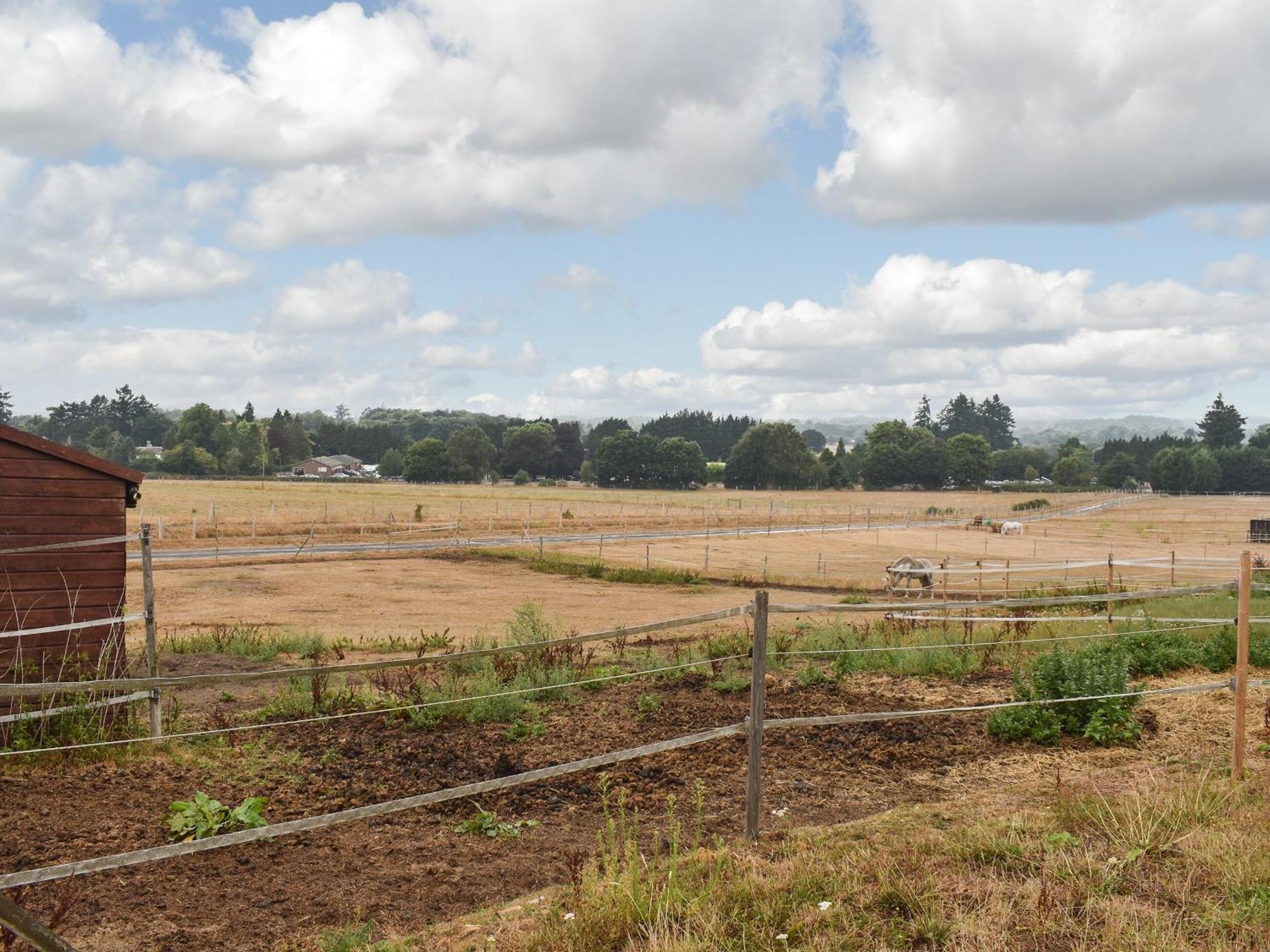 فيلا South Wing Coldharbour Park Farm Rake المظهر الخارجي الصورة